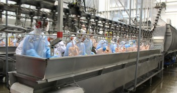 Friboi, a campeã nacional em acidentes Funcionários da JBS trabalham em uma linha de produção da unidade de Rolândia (PR), interditada após fiscalização. Foto: MPT/PR