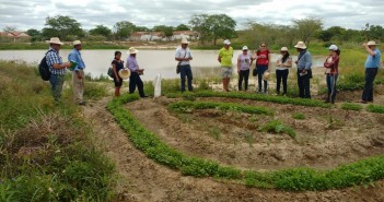 Novo semiárido passa no teste da maior seca da história Um grupo de agricultores de todos os estados do semiárido brasileiro visitou, em abril, a região do ‘corredor seco’, na América Central, para conhecer experiência de organização popular dos campesinos e campesinas da Guatemala e El Salvador. Na s