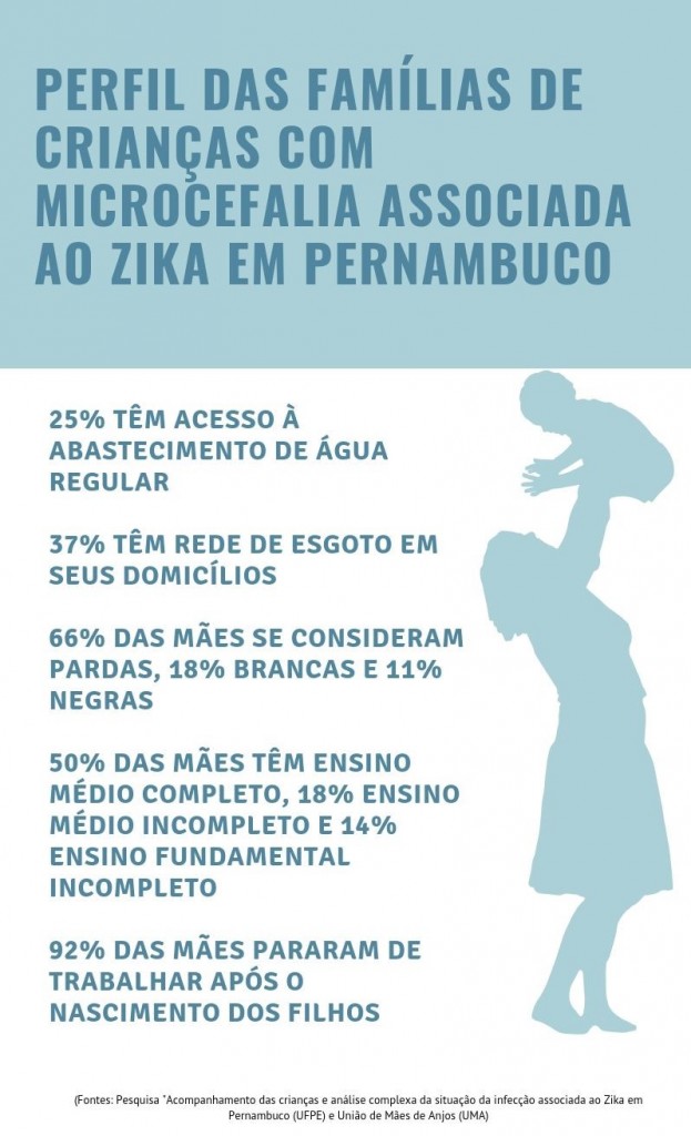 Perfil das famílias de crianças com microcefalia associada ao Zika em Pernambuco
