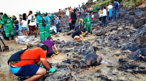 Praia de Itapuama, no Cabo de Santo Agostinho, em 21/10/2019. Sem o Plano Nacional de Contenção, centenas de voluntários recolhem material. Crédito: Inês Campelo/MZ Conteúdo