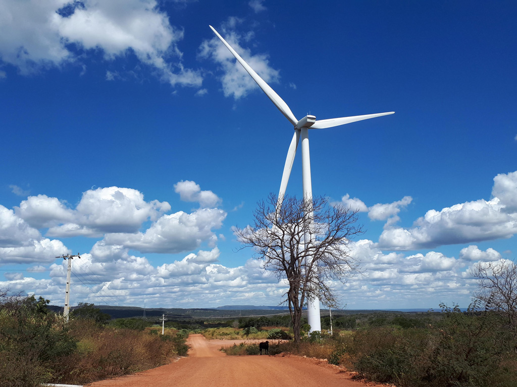 As turbinas para a geração de energia eólica ocupam extensas áreas do Nordeste e impactam o cotidiano de muitas comunidades | Foto: Maristela Crispim