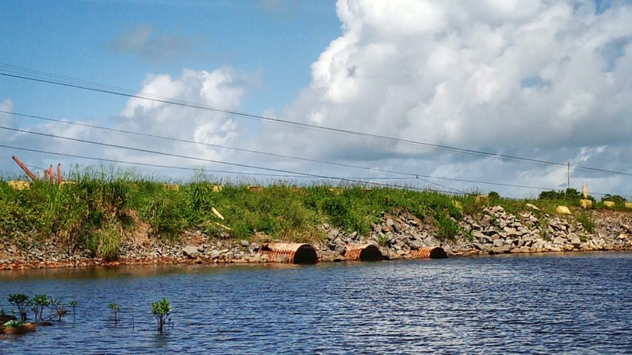 Suape canal de mangue fechado pelo porto