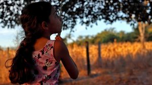 Imagem de uma criança no canto esquerdo do quadro, olhando para o céu. Ela usa camiseta sem mangas. Em segundo plano uma plantação de milho desfocada.