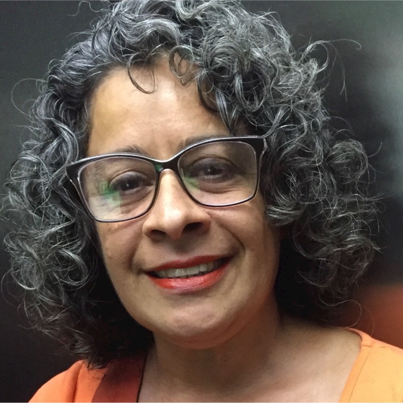 Andréa Domanico: mulher branca, de meia idade, com cabelos pretos e algumas mechas grisalhas, usando blusa laranja, com óculos de aros pretos e batom vermelho. Ela está sorrindo discretamente.