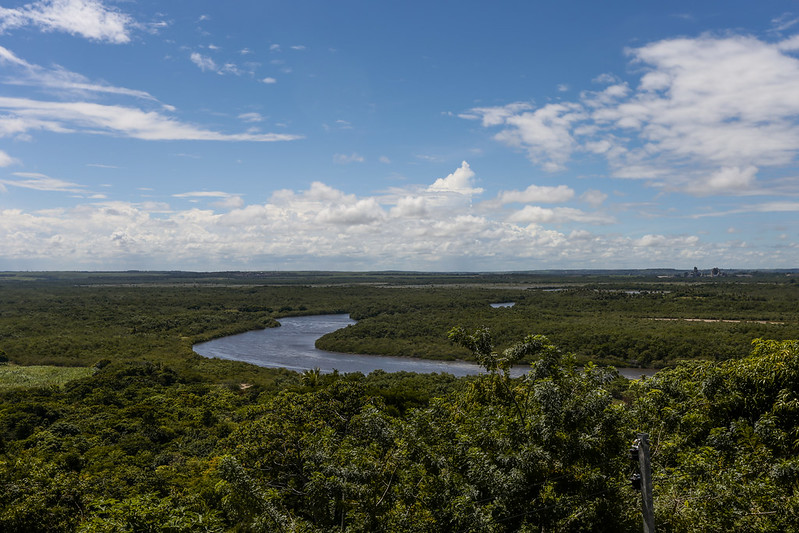 Foto aérea de manguezal e mata atlântica cortada pela curva de um rio, sob o céu azul com poucas nuvens.