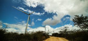 Estrada de terra atravessa a caatinga passando ao lado de aerogeradores (torres brancas com hélices da mesma cor que produzem energia eólica).
