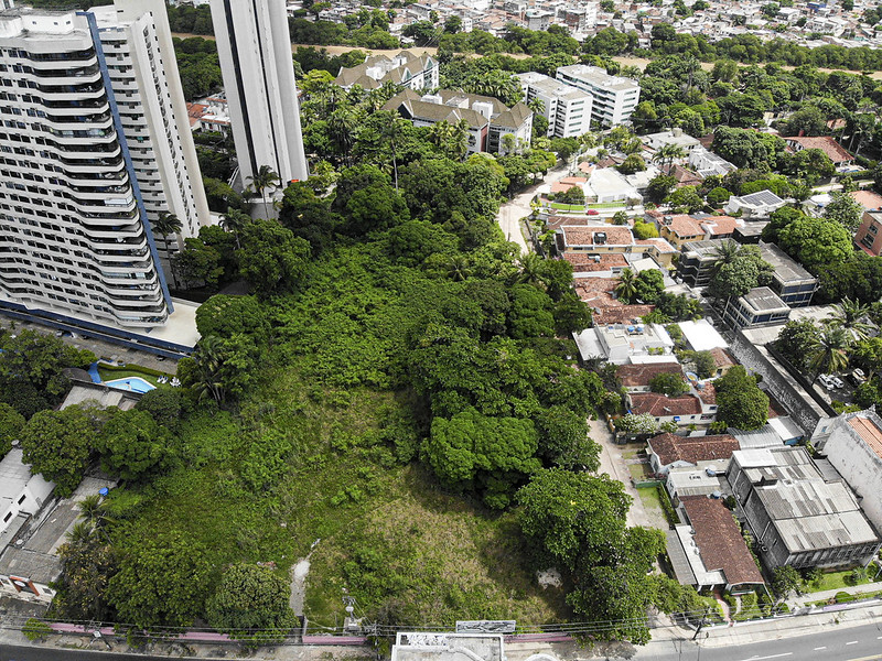 Vista aérea de terreno coberto por árvores, cercado por prédios do lado esquerdo da imagem e casas do lado direito.