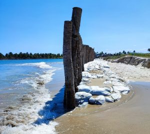 Muro de troncos de coqueiros, escorado por sacos e pedras, colocado na faixa de areia da praia, junto ao mar.