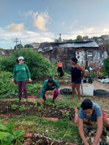 Grupo de mulheres plantam hortaliças em terreno junto a um barraco de favela.