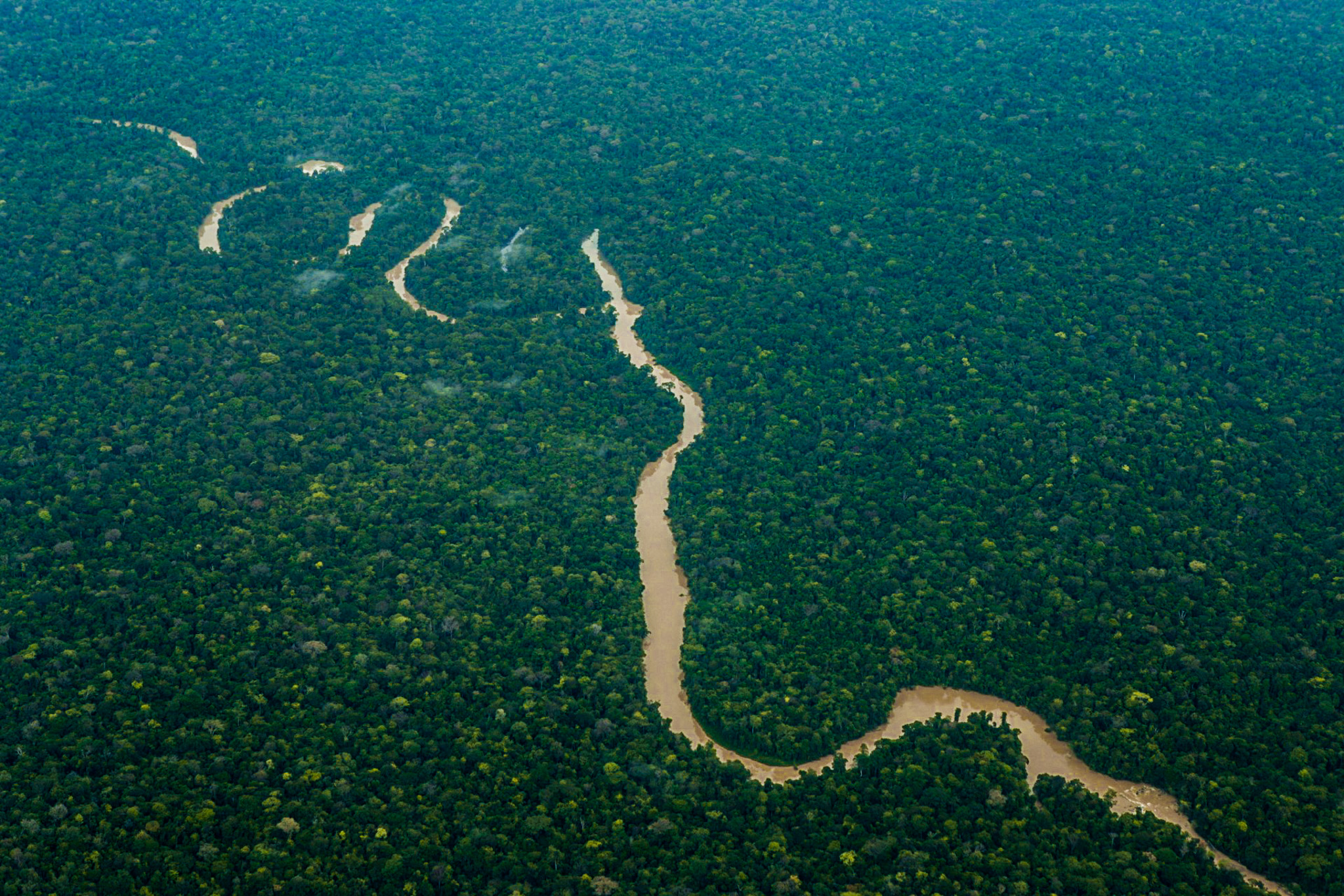 Foto aérea da floresta amazônia corta por um rio sinuoso de águas barrentas.