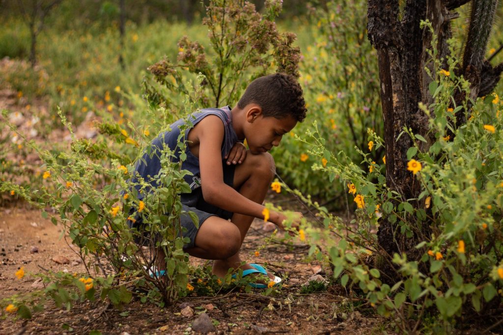 Foto colorida de menino negro, de pele clara, vestindo camiseta e bermuda cinza, agachado em um ambiente rural, observando algo que está entre as plantas e flores.