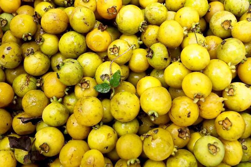 Esta imagem mostra um grande número de frutas amarelas pequenas, agrupadas. As frutas têm uma cor amarela vibrante e estão marcadas com pequenos pontos marrons. Entre as frutas, você pode perceber a textura lisa e úmida das superfícies das frutas e os pontos ásperos onde as manchas marrons aparecem. Uma folha verde solitária está visível entre as frutas, proporcionando um contraste de cor e textura.