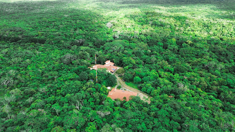 A foto mostra uma vista aérea de uma densa floresta com um rico dossel de árvores em vários tons de verde. Uma pequena clareira é visível, onde um grupo de edifícios com telhados vermelhos está aninhado entre as árvores, conectado por uma estrada de terra. O contraste entre os telhados vermelhos e o verde da vegetação é impressionante, e a cena transmite uma sensação de isolamento e tranquilidade na natureza.