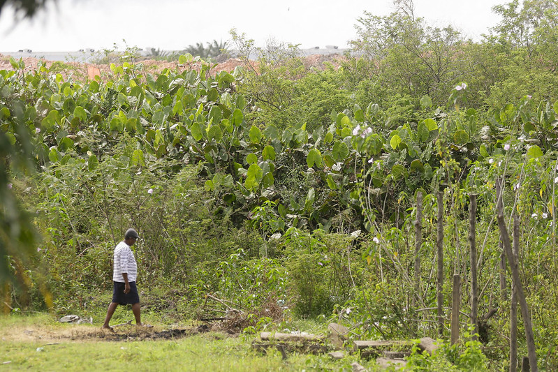 Foto de um homem negro, com camiseta branca listrada, bermuda preta e boné cinza, andando em um terreno com vegatação de arbustos, tendo ao fundo uma superfície de areia ou argila, que se sobressai por trás da copa das plantas.