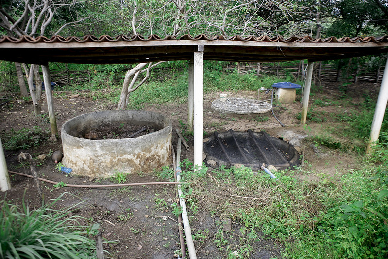 A imagem mostra uma cena rural ao ar livre com estruturas tradicionais, possivelmente usadas para fins agrícolas. Há uma grande estrutura circular de concreto que se assemelha a um poço ou cisterna, sem água visível, situada sob um telhado simples de metal sustentado por pilares brancos. Ao lado, há outra estrutura circular coberta com o que parece ser uma lona preta ou plástico. O chão é irregular e coberto de grama e pequenas plantas, indicando que a área pode não ser frequentemente mantida. Ao fundo, há árvores e cercas de madeira, sugerindo que este local faz parte de uma fazenda ou área rural maior.