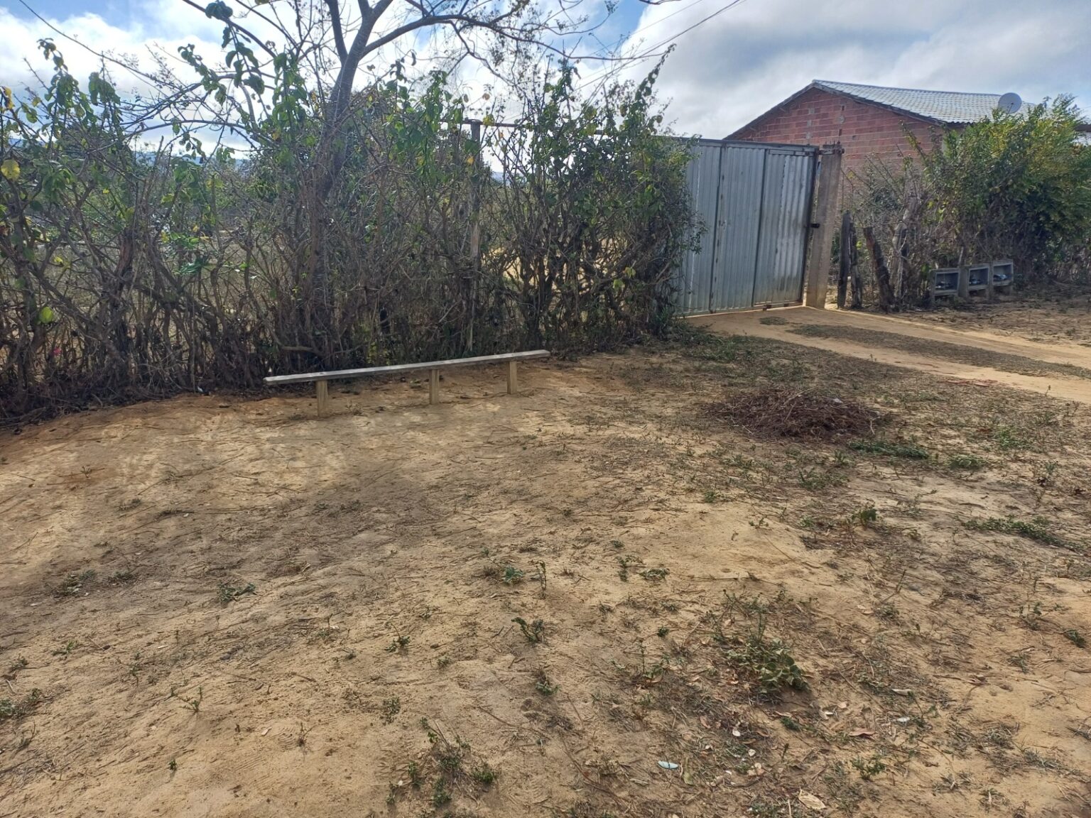 A imagem mostra uma cena ao ar livre, provavelmente em uma área rural ou de quintal. O solo é seco e arenoso, com algumas áreas de grama esparsa e outras partes onde o chão está nu. À esquerda, há um denso arbusto com folhas verdes. Ao fundo, há uma estrutura que parece ser um prédio de tijolos com um portão de metal ondulado. À direita do portão, há o banco, aparentemente feito de madeira. O céu está parcialmente nublado, mas em sua maior parte claro, sugerindo que pode ser de manhã ou à tarde.