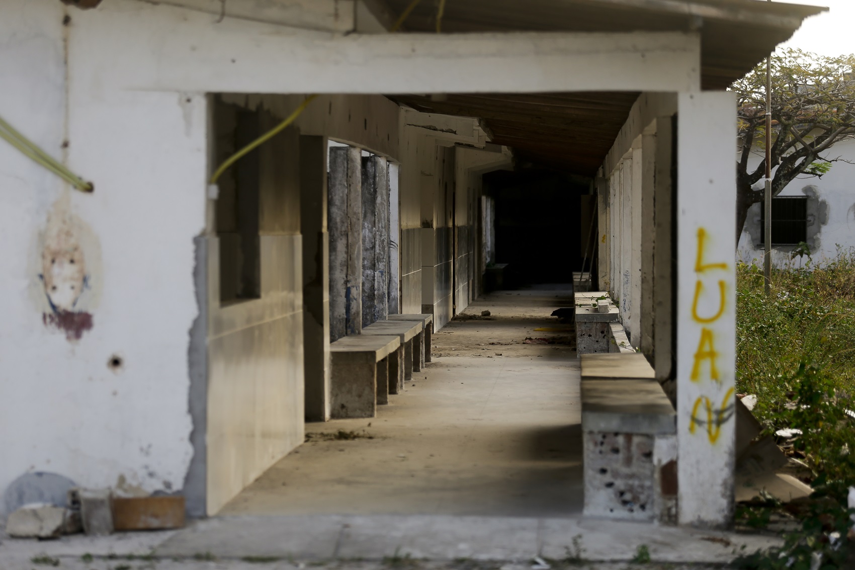 Foto de um corredor sujo, desgastado em um prédio abandonado de paredes brancas pichadas com tinta amarela, com um jardim mal cuidado, repleto de mato.