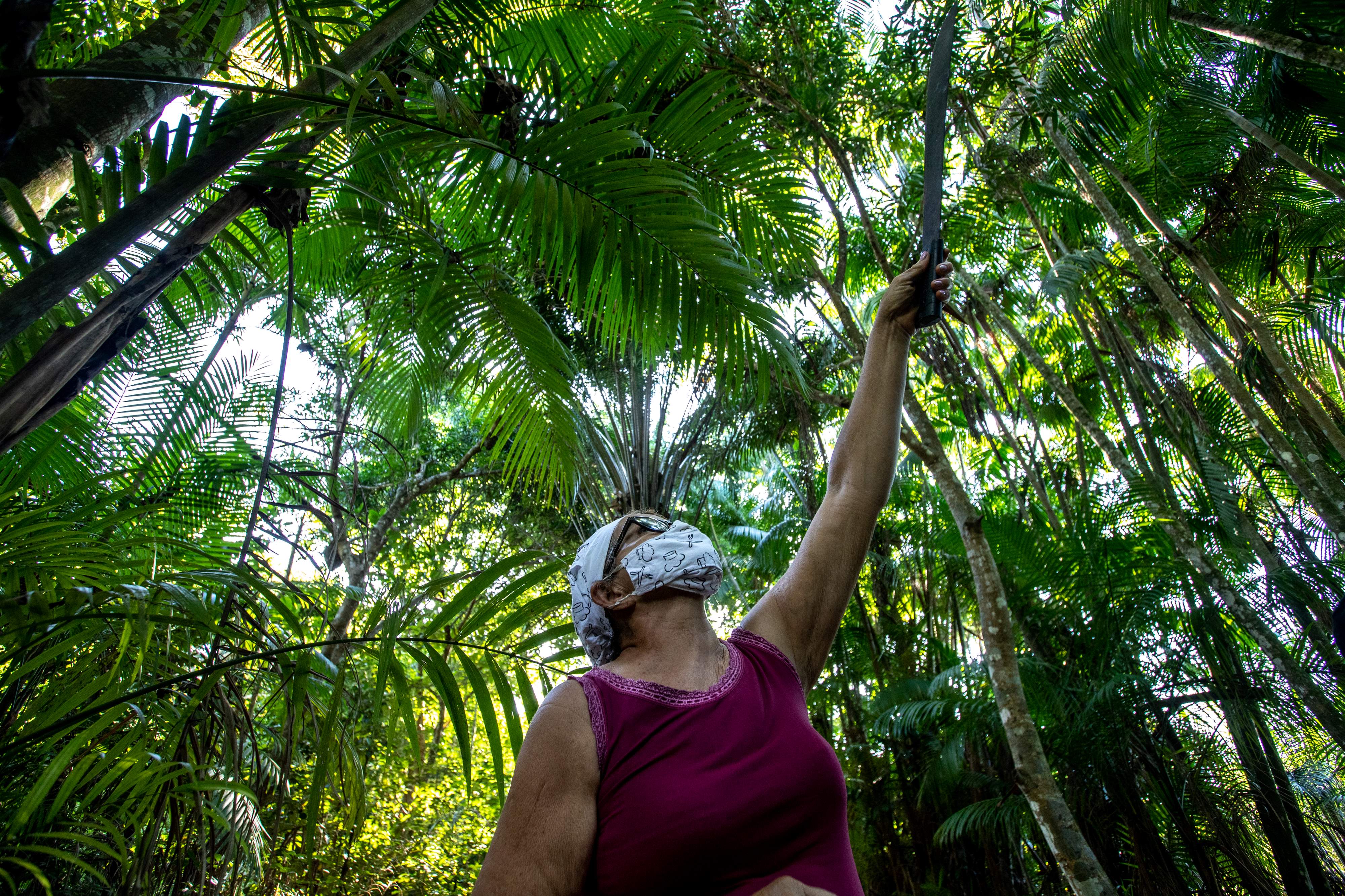 Uma mulher em pé no meio da floresta, cercada por árvores altas e folhas grandes e verdes. Ela usa uma camiseta sem mangas e uma máscara que cobre parcialmente seu rosto, além de óculos de proteção. Com uma mão, ela segura um facão, levantando-o em direção às árvores, como se estivesse alcançando algo acima dela, talvez para colher ou cortar.