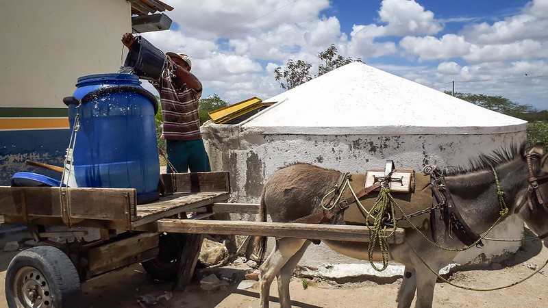 A imagem mostra uma cena rural. Um homem despeja água de um balde em um grande tambor azul, que está sobre uma carroça de madeira. A carroça é puxada por um jumento, que está amarrado e equipado com arreios simples. Ao fundo, há uma cisterna de concreto branco com formato cilíndrico e topo em forma de cone, usada para armazenar água. O céu está claro, com nuvens espalhadas, e o ambiente ao redor é típico do semiárido, com vegetação rala e clima ensolarado.