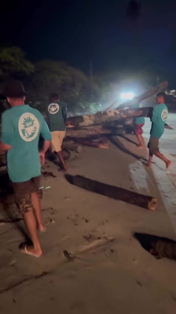 Na imagem, várias pessoas estão unidas levantando grandes troncos de madeira, aparentemente para reconstruir o muro de contenção no Pontal de Maracaípe. A cena é iluminada artificialmente, destacando os trabalhadores contra o fundo escuro do céu. Todos parecem estar concentrados, vestindo roupas leves e algumas com uniformes azuis. Ao fundo, é possível ver outras pessoas observando e o reflexo de luz na superfície do mar.