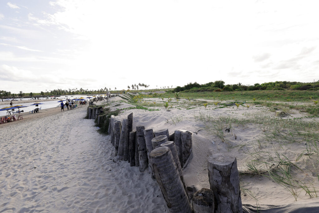 A imagem mostra uma paisagem de praia com um muro feito de troncos de coqueiro cortados e fincados na areia, formando uma barreira. À direita do muro, há uma área de restinga com vegetação rasteira e pequenas mudas de coqueiro crescendo na areia, além de algumas moitas verdes. Ao fundo, há uma fileira de coqueiros altos e mais vegetação densa. À esquerda do muro, há uma faixa de areia que se estende até a beira do rio, onde várias pessoas estão aproveitando o local. Algumas estão sentadas em mesas e cadeiras de plástico sob guarda-sóis coloridos, enquanto outras caminham pela praia ou pelo raso do rio. O rio é largo e tranquilo, refletindo o céu.