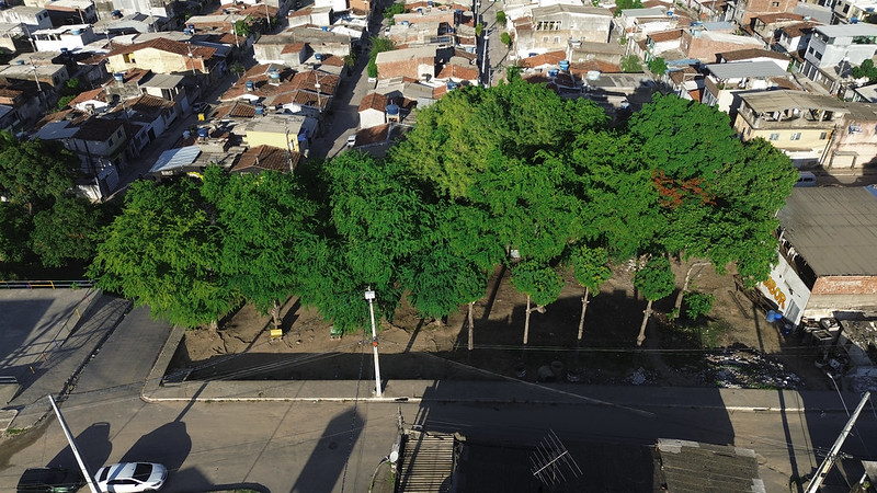 A imagem mostra uma vista aérea de uma área urbana com várias casas e edifícios. No centro da imagem, há uma fileira de árvores verdes que se destacam em contraste com as construções ao redor. As árvores estão alinhadas ao longo de uma rua pavimentada, visível na parte inferior da imagem. À esquerda, há uma pequena área aberta com um carro estacionado. A área urbana ao fundo é densa, com casas de telhados variados, principalmente de telhas marrons e cinzas. A imagem é interessante porque destaca a presença de vegetação em meio a uma área densamente construída, mostrando um contraste entre a natureza e a urbanização