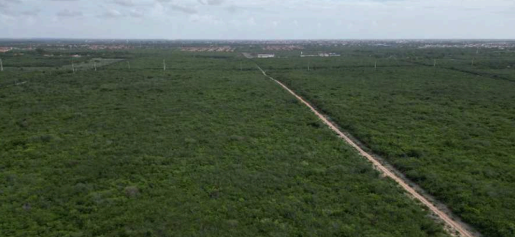 A imagem mostra uma área extensa coberta por vegetação densa, onde se destaca uma estrada de terra que corta o cenário ao meio. Essa estrada segue em linha reta, dividindo a paisagem em duas partes simétricas. Ao fundo, percebe-se uma área urbana com várias construções e casas, contrastando com o verde predominante. A perspectiva da foto é aérea, provavelmente capturada por um drone ou avião, o que permite uma visão panorâmica da interação entre a natureza e a cidade ao fundo.