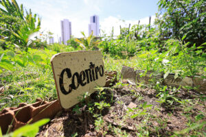 A imagem mostra um pequeno jardim urbano onde o coentro está sendo cultivado. No centro da cena, há uma placa de madeira com a palavra Coentro escrita em letras pretas, indicando a erva específica que está sendo cultivada. Essa placa está fixada no solo, que parece ser de terra, com algumas pequenas plantas crescendo ao redor. Ao redor da placa, há várias outras plantas e vegetação, dando a sensação de um pequeno espaço verde em meio à cidade. No fundo da imagem, dois prédios altos podem ser vistos, sugerindo que esse jardim está localizado em uma área urbana. A iluminação da cena revela que o dia está claro e ensolarado, com a luz do sol realçando os elementos naturais presentes.
