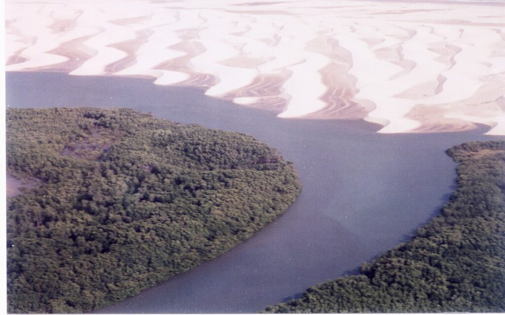 A imagem mostra uma vista aérea do Delta do Parnaíba, localizado entre os estados do Piauí e Maranhão. A cena é marcada por um contraste impressionante entre a vegetação densa e verde dos manguezais (na parte inferior da imagem) e as dunas claras e sinuosas que ocupam a parte superior. No centro da imagem, há um curso d’água que separa a área de vegetação da região de dunas. As dunas possuem formas curvas e padrões marcantes, causados pelo vento e pela movimentação da areia. Esse delta é um dos únicos em mar aberto nas Américas e possui grande importância ecológica, sendo habitat de diversas espécies de fauna e flora. A paisagem mostra um exemplo típico de ecossistema costeiro brasileiro com manguezais, rios e dunas interagindo de forma natural e dinâmica.