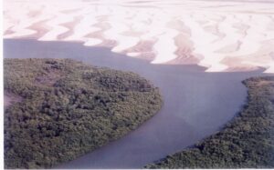 A imagem mostra uma vista aérea do Delta do Parnaíba, localizado entre os estados do Piauí e Maranhão. A cena é marcada por um contraste impressionante entre a vegetação densa e verde dos manguezais (na parte inferior da imagem) e as dunas claras e sinuosas que ocupam a parte superior. No centro da imagem, há um curso d’água que separa a área de vegetação da região de dunas. As dunas possuem formas curvas e padrões marcantes, causados pelo vento e pela movimentação da areia. Esse delta é um dos únicos em mar aberto nas Américas e possui grande importância ecológica, sendo habitat de diversas espécies de fauna e flora. A paisagem mostra um exemplo típico de ecossistema costeiro brasileiro com manguezais, rios e dunas interagindo de forma natural e dinâmica.