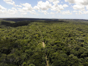 A imagem mostra uma vasta área de floresta densa, conhecida como APA Aldeia- Beberibe, com predominância de tons verdes, vista de cima. Uma trilha de terra corta a mata ao centro, seguindo em linha reta até desaparecer no horizonte.