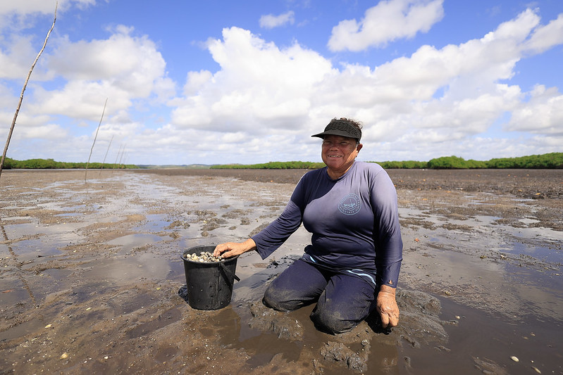 A fotografia mostra Marilúcia Santos, uma marisqueira, ajoelhada em meio ao manguezal durante a maré baixa. Ela está sorrindo e usa uma camisa de manga comprida azul e calça escura, além de um boné preto com aba que protege seu rosto do sol forte. Marilúcia segura um balde preto que já contém mariscos colhidos por ela, e suas mãos e roupas estão sujas de lama, evidenciando o trabalho manual no mangue. O ambiente ao redor é amplo e aberto, com o solo lamacento e úmido estendendo-se até o horizonte. Ao fundo, há uma vegetação densa de manguezais e um céu azul com nuvens brancas e fofas, compondo uma paisagem natural e luminosa. Algumas estacas fincadas no solo aparecem à esquerda da imagem, provavelmente usadas como referência pelos marisqueiros.