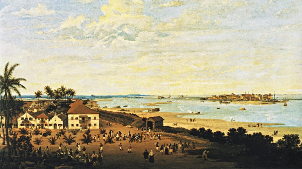 A pintura de Frans Post retrata uma paisagem colonial litorânea, com casas brancas de telhados vermelhos cercadas por coqueiros à esquerda e uma grande movimentação de pessoas no centro da cena. Grupos diversos, incluindo indígenas, negros e europeus, circulam em um espaço de convivência e trabalho. À direita, uma praia se estende até o mar, onde pequenas embarcações navegam. Ao fundo, vê-se uma ilha fortificada, provavelmente o Recife Antigo, conectada ao continente por um banco de areia. O céu claro e amplo domina a parte superior da tela, sugerindo uma atmosfera calma e luminosa.