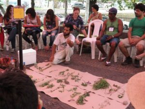 A imagem mostra uma roda de pessoas participando de uma atividade ao ar livre, em um espaço público com calçamento de pedras. Cerca de dez pessoas estão sentadas em cadeiras de plástico brancas, dispostas em semicírculo. No centro da roda, há um homem agachado explicando algo — ele aponta para uma variedade de plantas espalhadas sobre folhas de papel pardo no chão. As plantas estão organizadas em pequenos montes, possivelmente para identificação ou estudo. As pessoas ao redor observam com atenção, sugerindo que se trata de uma oficina ou roda de conversa sobre plantas medicinais ou conhecimentos tradicionais. Ao fundo, há árvores e uma cerca baixa, indicando que o evento ocorre em um parque ou praça.