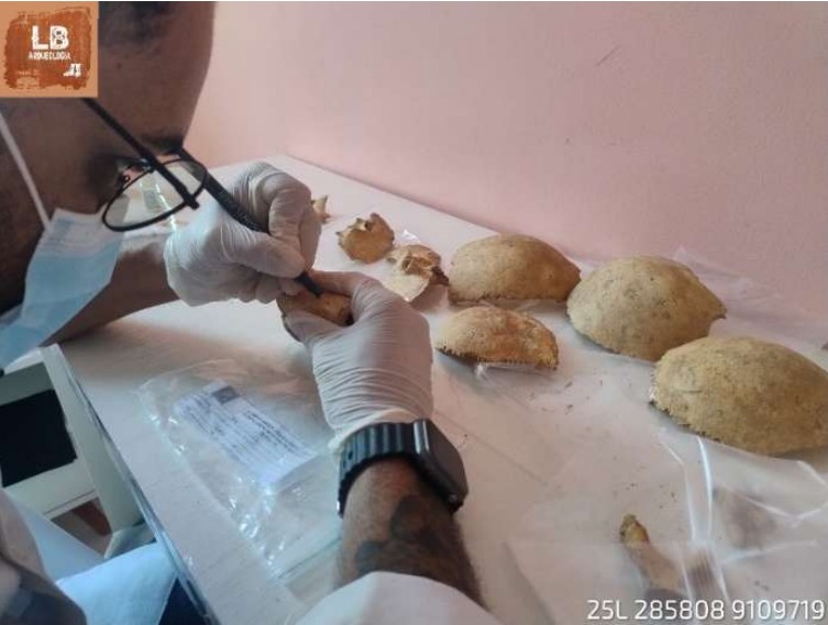 Um homem, usando máscara, óculos e luvas de látex, trabalha cuidadosamente com uma ferramenta fina sobre um pequeno osso. Ele está sentado à mesa de um laboratório, concentrado na tarefa de limpeza ou análise do material. Sobre a mesa clara, há vários fragmentos de ossos humanos, incluindo pelo menos quatro calotas cranianas (parte superior do crânio), dispostas sobre sacos plásticos transparentes. O ambiente tem paredes em tom rosa claro. No canto superior esquerdo da imagem, há o logotipo “LB Arqueologia”, sugerindo que se trata de um trabalho científico ou arqueológico com restos mortais antigos. No canto inferior direito, aparece uma sequência de números e letras, possivelmente uma referência de localização ou catalogação.