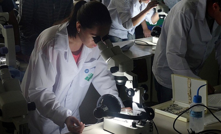 Em um laboratório, várias pessoas usam jalecos brancos e observam amostras em microscópios. Em primeiro plano, uma mulher de cabelos presos olha atentamente através de um microscópio iluminado, enquanto segura uma lâmina na mesa. À sua frente há uma caixa aberta com instrumentos de laboratório e um frasco de álcool em gel. Ao fundo, outras pessoas, também de jaleco, repetem a mesma atividade, cada uma em sua estação de trabalho. O ambiente é de estudo e pesquisa científica.