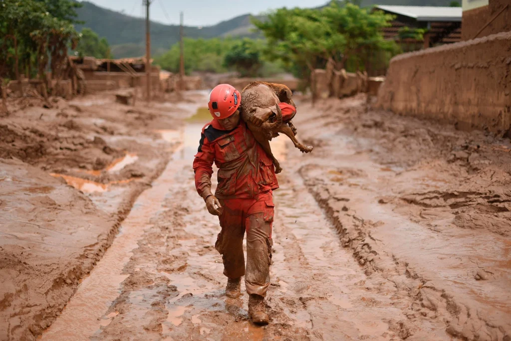 A imagem mostra um cenário de desastre natural, possivelmente causado por uma enchente ou deslizamento de terra. Em primeiro plano, um socorrista veste capacete vermelho e uniforme de proteção da mesma cor, caminhando por uma rua completamente coberta de lama espessa. Ele carrega um porco sobre os ombros, indicando uma operação de resgate de animais. Ao fundo, é possível ver construções e vegetação parcialmente encobertas pela lama, reforçando o estado de devastação da área.