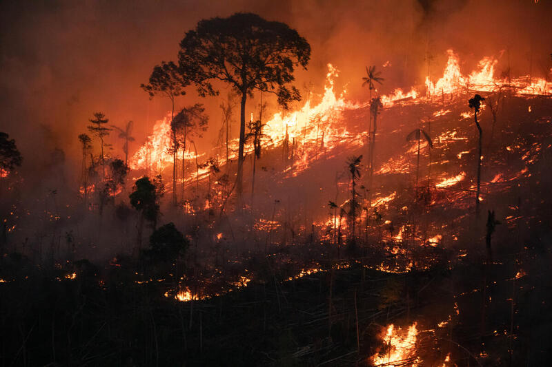 A imagem mostra um incêndio florestal de grandes proporções consumindo uma encosta coberta por árvores altas e vegetação densa. As chamas intensas, de cor laranja viva, se espalham rapidamente, enquanto uma espessa nuvem de fumaça escura sobe ao céu, obscurecendo o horizonte. O fogo parece fora de controle, atingindo toda a área visível e deixando rastros de destruição. A cena transmite urgência e gravidade, evidenciando o impacto devastador sobre o ecossistema local. Não há presença humana visível, apenas a força da natureza em colapso. A vegetação, antes verde e abundante, está sendo tomada pelo fogo, sugerindo uma crise ambiental severa.