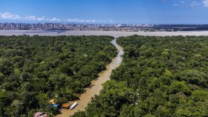 A imagem mostra uma floresta tropical densa cortada por um rio sinuoso de águas barrentas, possivelmente devido a sedimentos ou chuvas recentes. Às margens do rio, há pequenas embarcações e construções simples, indicando presença humana em meio à natureza. A vegetação é exuberante e cobre grande parte da paisagem, transmitindo a sensação de um ambiente vivo e preservado. Ao fundo, além de um largo corpo d’água, surge a cidade de Belém, com seu horizonte urbano marcado por prédios altos. O contraste entre o verde intenso da floresta e a verticalidade da cidade evidencia o encontro entre o natural e o urbano.