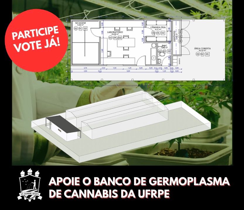 O ChatGPT disse: Montagem digital com fundo de plantas cultivadas em estufa. No canto superior direito, há um círculo vermelho com o texto “PARTICIPE VOTE JÁ!”. Abaixo, aparece uma planta arquitetônica e uma maquete digital mostrando a estrutura de um prédio retangular com cobertura translúcida. Na parte inferior, em fundo preto, lê-se: “APOIE O BANCO DE GERMOPLASMA DE CANNABIS DA UFRPE”. O logotipo da universidade aparece à esquerda do texto.