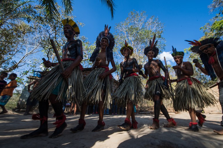 A foto mostra um grupo de homens indígenas do povo Xukuru-Kariri realizando uma dança tradicional ao ar livre. Eles estão alinhados lado a lado, em movimento, com expressões concentradas e postura firme. Todos usam saias feitas de folhas trançadas, cocares coloridos com penas e têm o corpo pintado com desenhos geométricos em tons escuros. Alguns seguram bastões ou instrumentos nas mãos. O chão é de terra batida e, ao fundo, aparecem árvores altas e outras pessoas observando. O céu está azul, indicando que a cena ocorre durante o dia.
