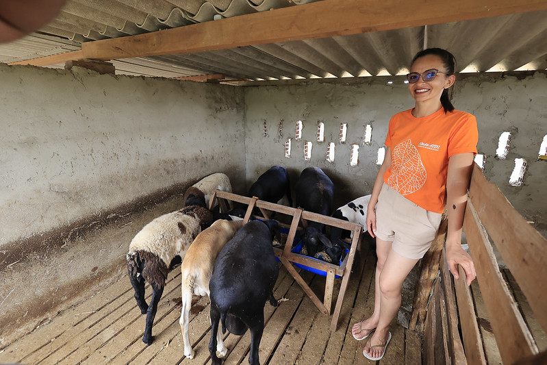 Martilene do Nascimento está em um curral pequeno, ao lado de vários cabritos que se alimentam em um cocho de madeira. Ela sorri e veste uma camiseta laranja com estampa branca e shorts bege. O espaço tem piso de madeira ripada, cobertura de telha metálica e paredes de concreto com aberturas para ventilação. A cena mostra um ambiente rural simples, destacando o cuidado com os animais e o trabalho no campo.