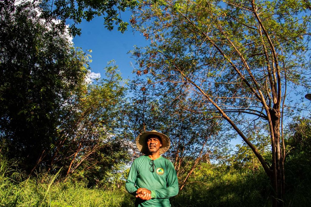 Eduardo Emídio está em pé em uma área de mata verde, sob um céu azul claro. Ele veste uma camisa verde de mangas compridas com um emblema circular no peito e usa um chapéu de palha de aba larga. Ao redor, há capim alto e árvores finas com poucas folhas, indicando um ambiente natural, possivelmente reflorestado. A luz do sol é suave, sugerindo que a foto foi tirada pela manhã ou no fim da tarde.