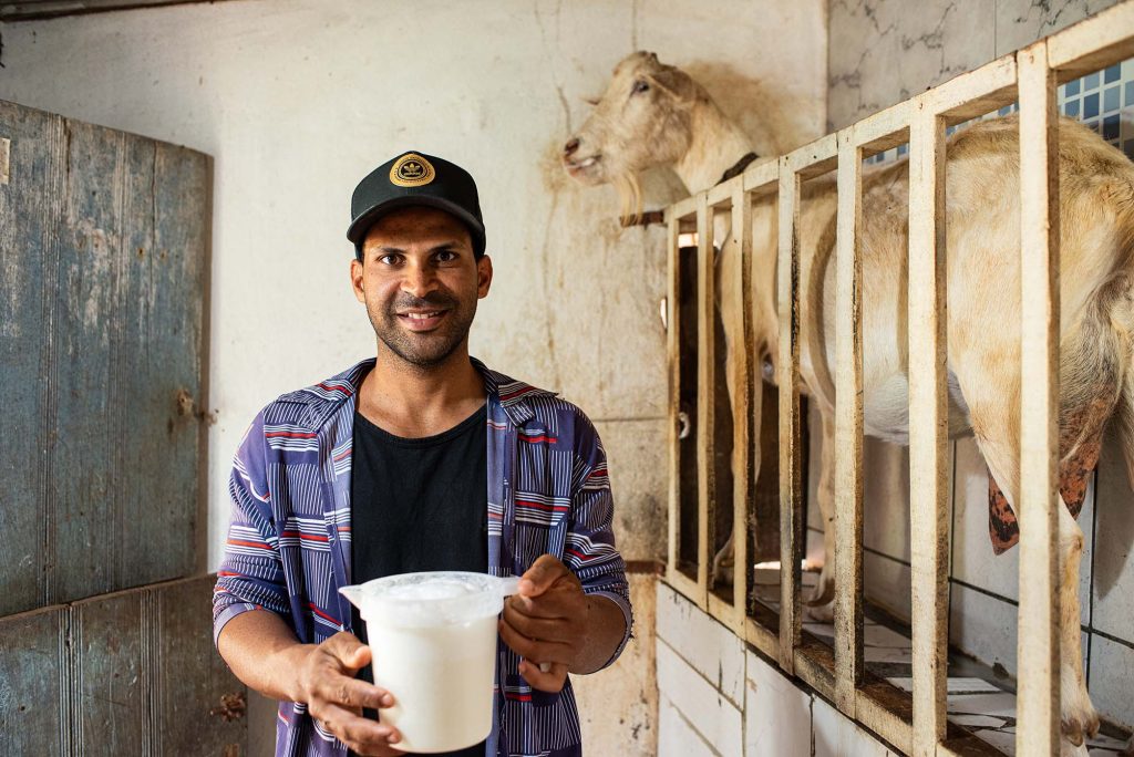 Na imagem um homem jovem, de boné e camisa de botão, segura um deposito de leite de cabra que ele ordenhou. Do lado direito da imagem a cabra ainda no loca de ordenha.