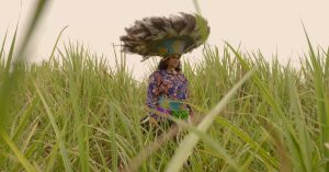 Uma mulher está em pé em um campo de capim alto e verde, que parece ser cana-de-açúcar. Ela veste uma roupa tradicional vibrante: uma blusa azul com estampas florais coloridas, uma faixa verde e roxa na cintura, e um cocar grande e elaborado na cabeça. O cocar é decorado com penas pretas e brancas e detalhes intrincados. O céu ao fundo está nublado ou com névoa, criando uma luz suave sobre a cena.