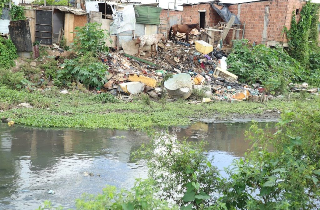 A imagem mostra uma área urbana marcada pela pobreza e pela poluição. No fundo, há casas improvisadas feitas de materiais variados como tijolos, madeira e chapas de metal, todas em condições precárias. À frente dessas construções, existe um grande acúmulo de lixo e entulho — móveis quebrados, recipientes plásticos e outros resíduos espalhados pelo chão. Entre esse lixo, dois cavalos estão parados, o que indica que animais domésticos circulam pelo local. No primeiro plano, há um corpo d’água poluído, com lixo boiando e vegetação crescendo nas margens.