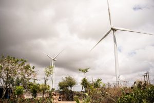 A imagem mostra uma paisagem rural com céu nublado, onde duas grandes turbinas eólicas se destacam ao fundo. No primeiro plano, há vegetação variada — árvores, arbustos e cactos — além de algumas construções simples e cercas, sugerindo uma área agrícola ou residencial. O contraste entre os elementos naturais e os aerogeradores evidencia a presença da energia renovável nesse cenário.