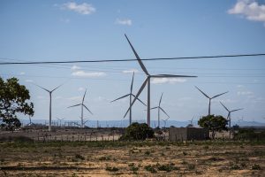 Uma paisagem árida com vários aerogeradores (turbinas eólicas) espalhados pelo terreno, sob um céu azul com poucas nuvens. Há vegetação baixa, algumas árvores e fios elétricos atravessando a cena.