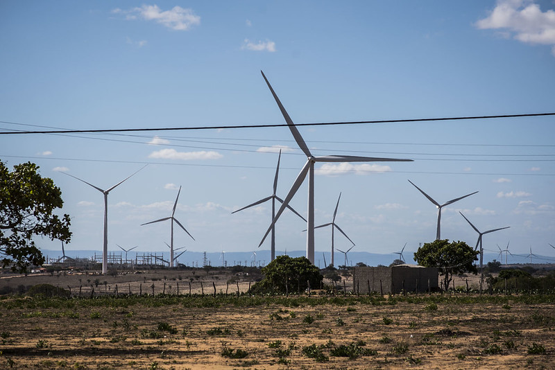 Uma paisagem árida com vários aerogeradores (turbinas eólicas) espalhados pelo terreno, sob um céu azul com poucas nuvens. Há vegetação baixa, algumas árvores e fios elétricos atravessando a cena.