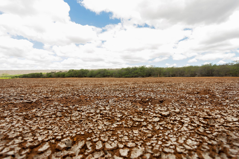 A imagem mostra uma paisagem árida, com o solo rachado e ressecado, típico de regiões que sofrem com seca intensa. As rachaduras formam padrões irregulares e se estendem por toda a área visível, indicando que ali antes havia água ou umidade que evaporou. Ao fundo, há uma faixa de vegetação verde, contrastando com o terreno seco, e acima, um céu parcialmente nublado com nuvens brancas e espaços de azul.